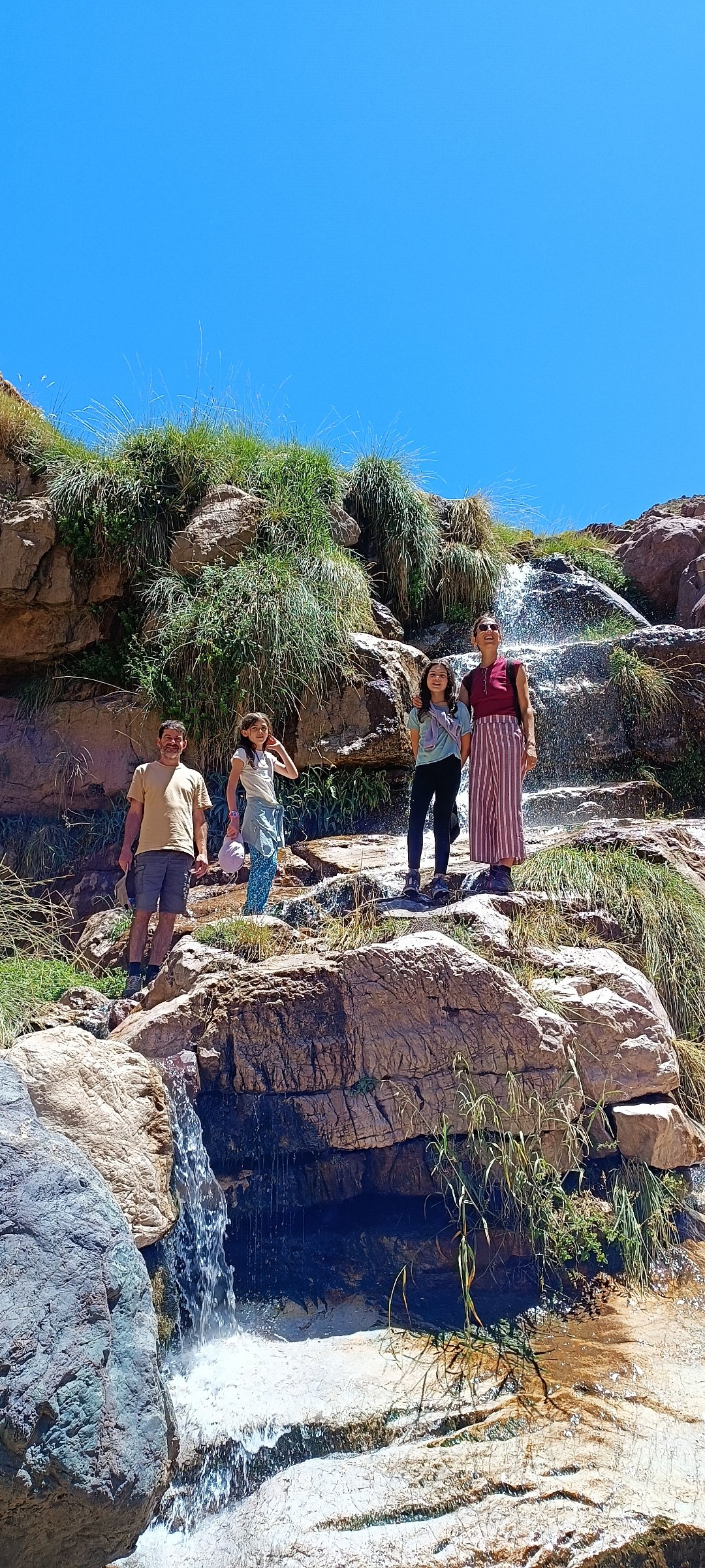 Local guide