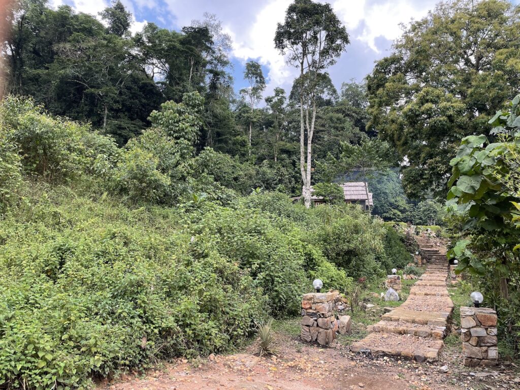 Sahaya Guesthouse at Bwindi