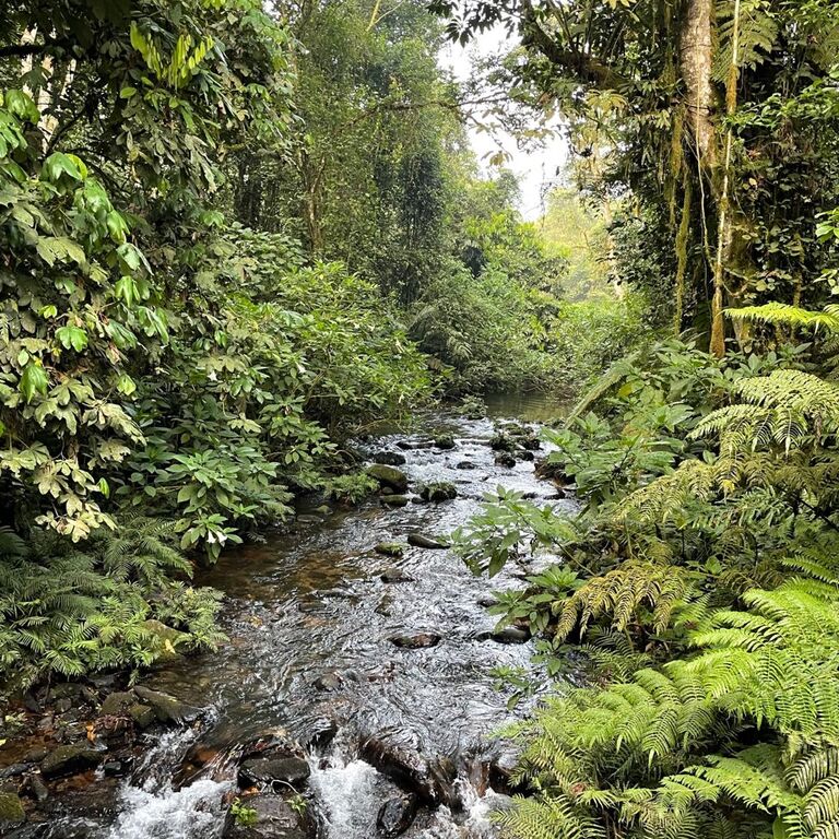 Sahaya Guesthouse at Bwindi