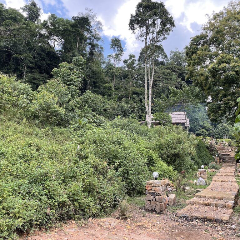 Sahaya Guesthouse at Bwindi