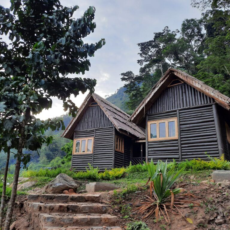 Sahaya Guesthouse at Bwindi