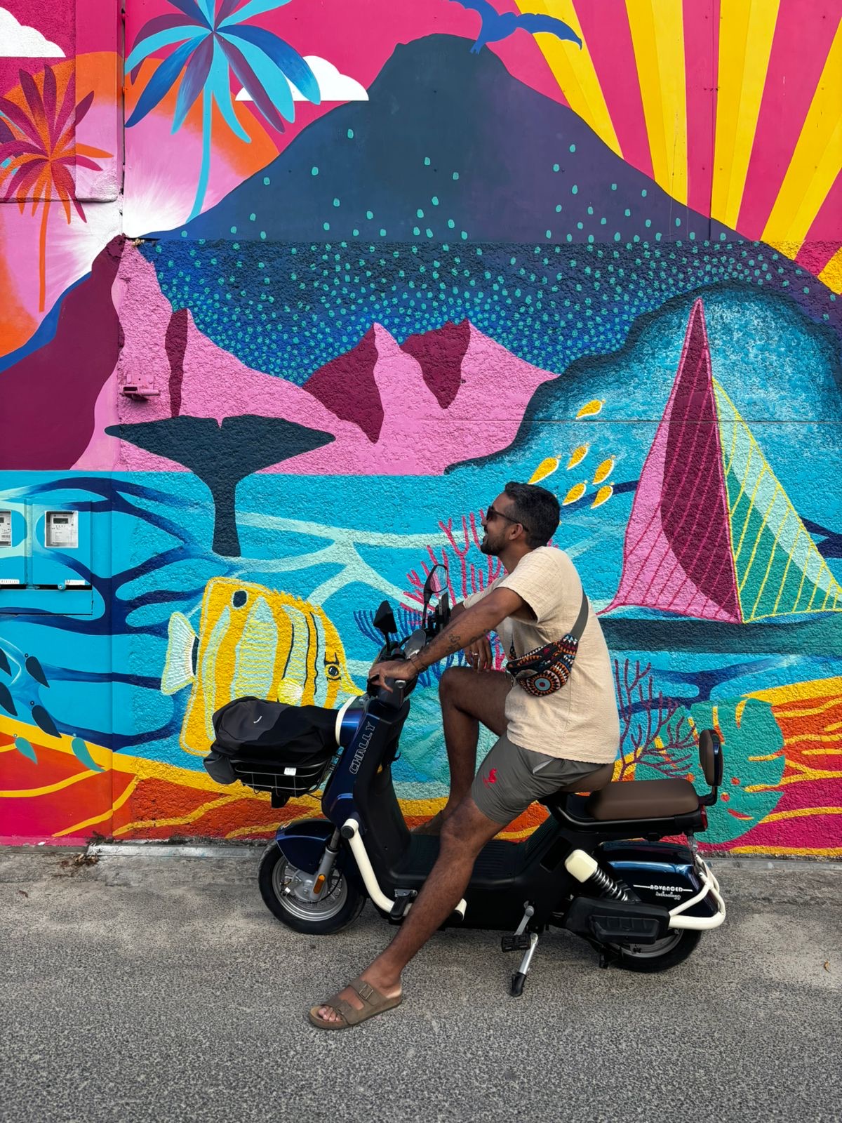 Goho Electric Scooter Rental