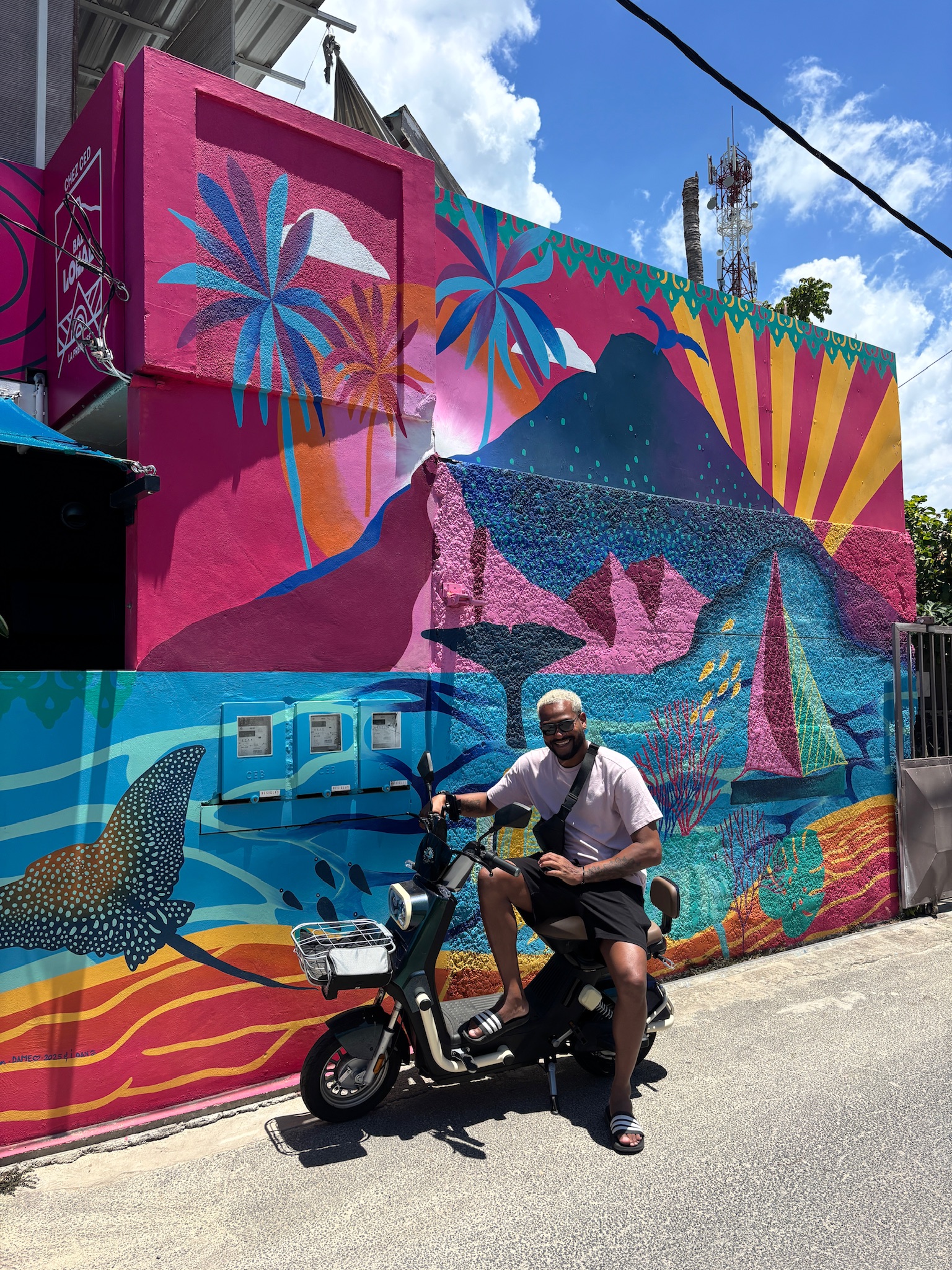 Goho Electric Scooter Rental