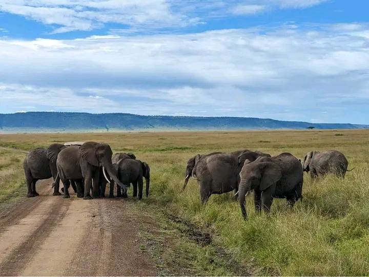 Lejama Tours