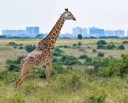 Lejama Tours