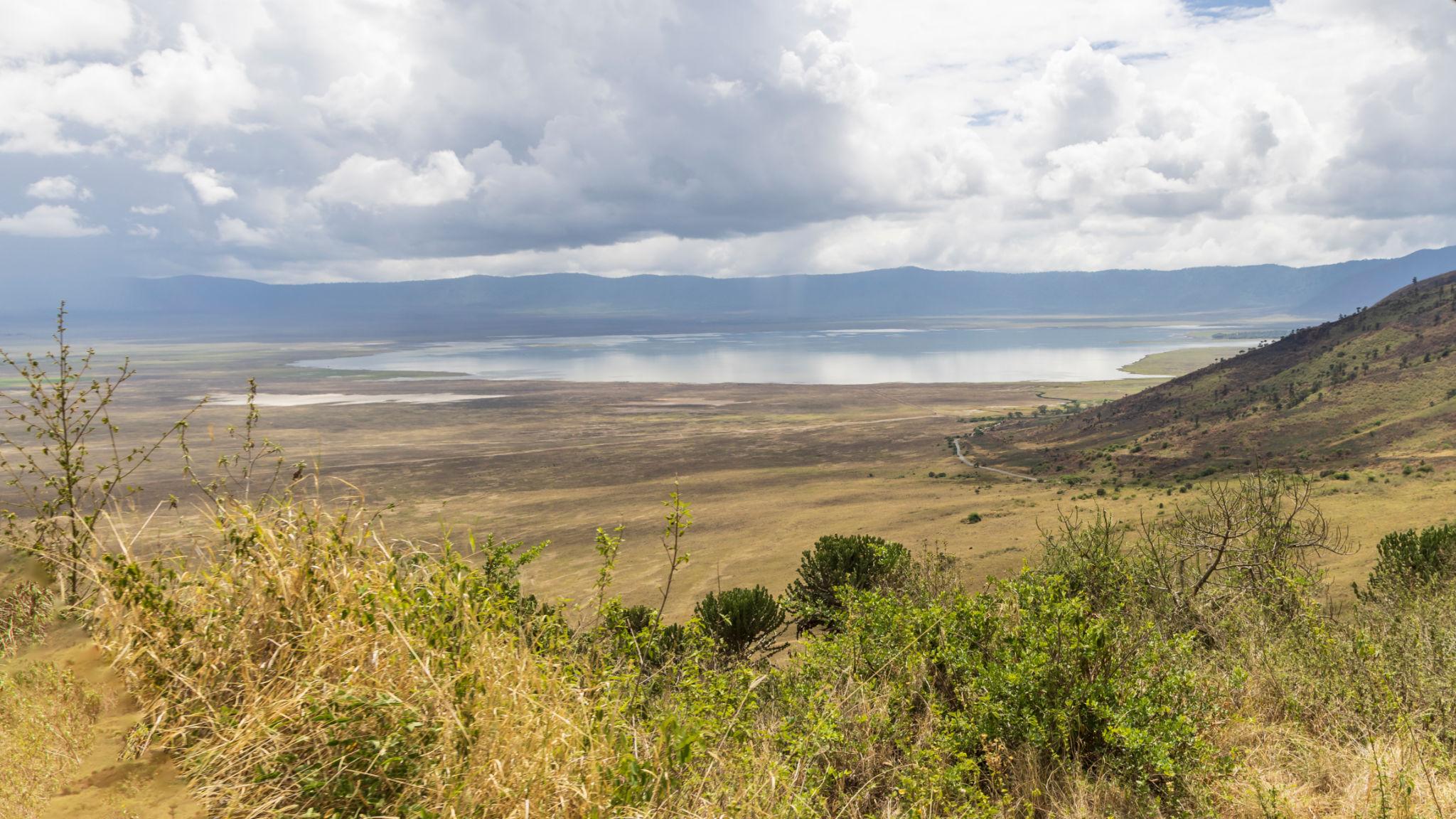 Luxury Journey Tour and Safari