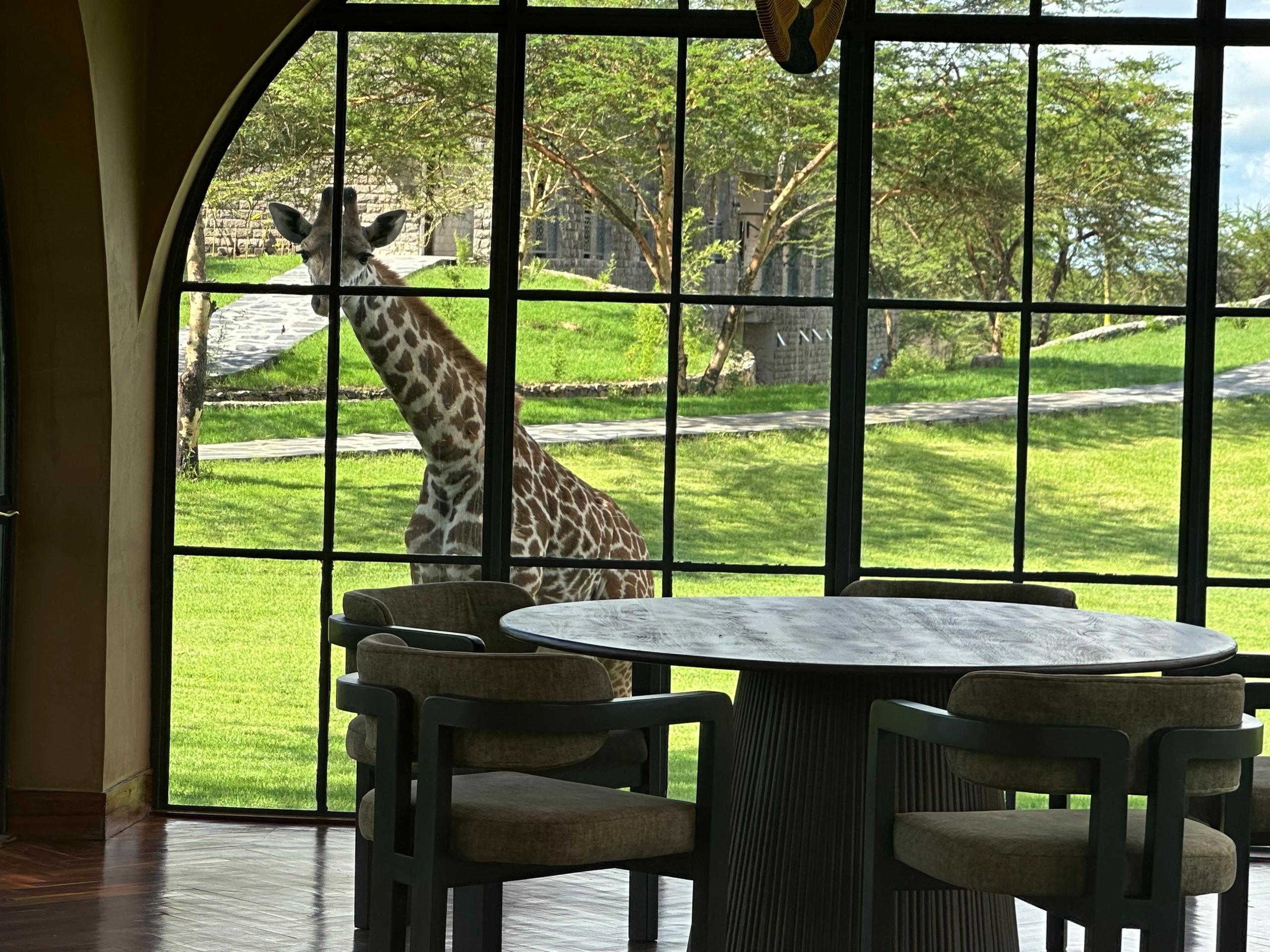 Giraffe Manor Tanzania