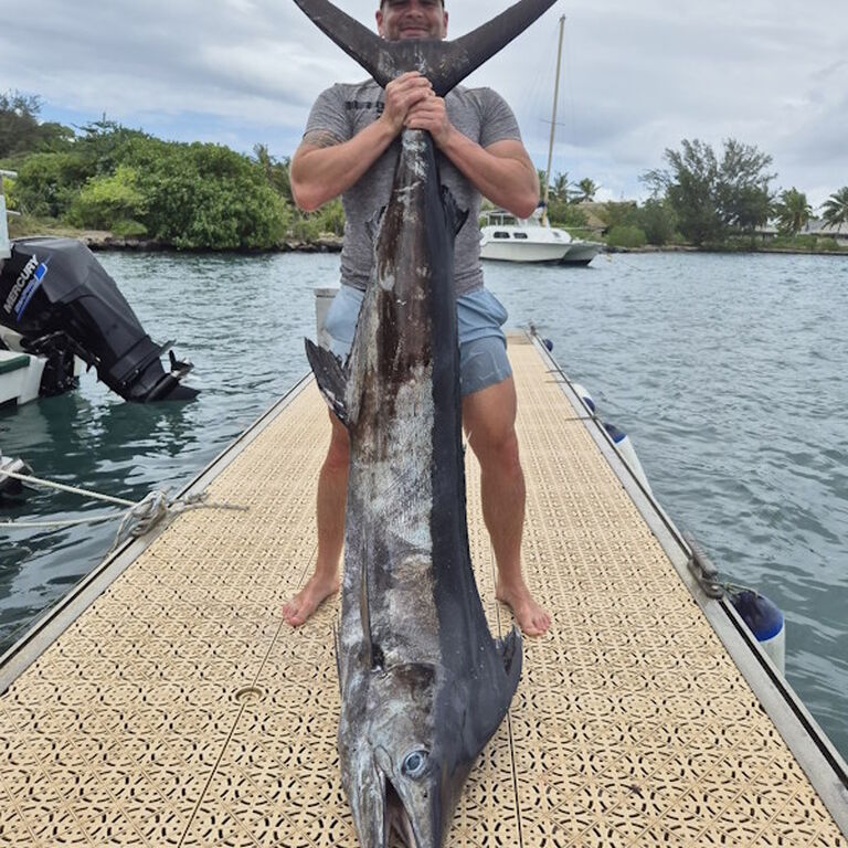 Moorea Evasion