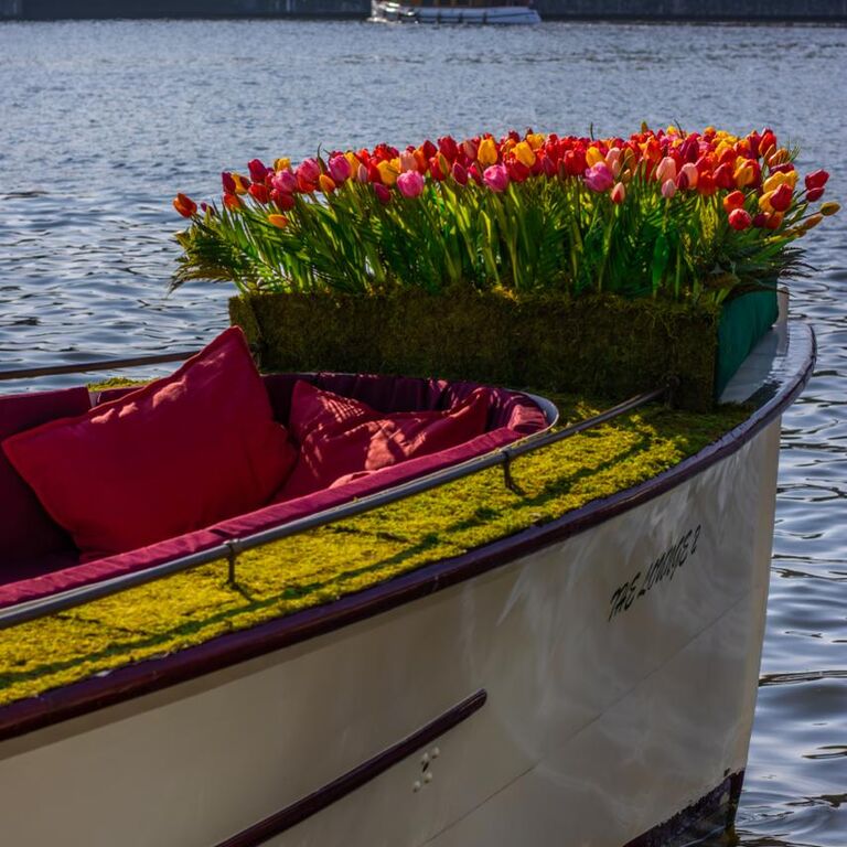 Flamingo Boat tours