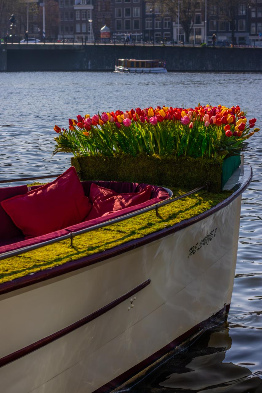 Flamingo Boat tours