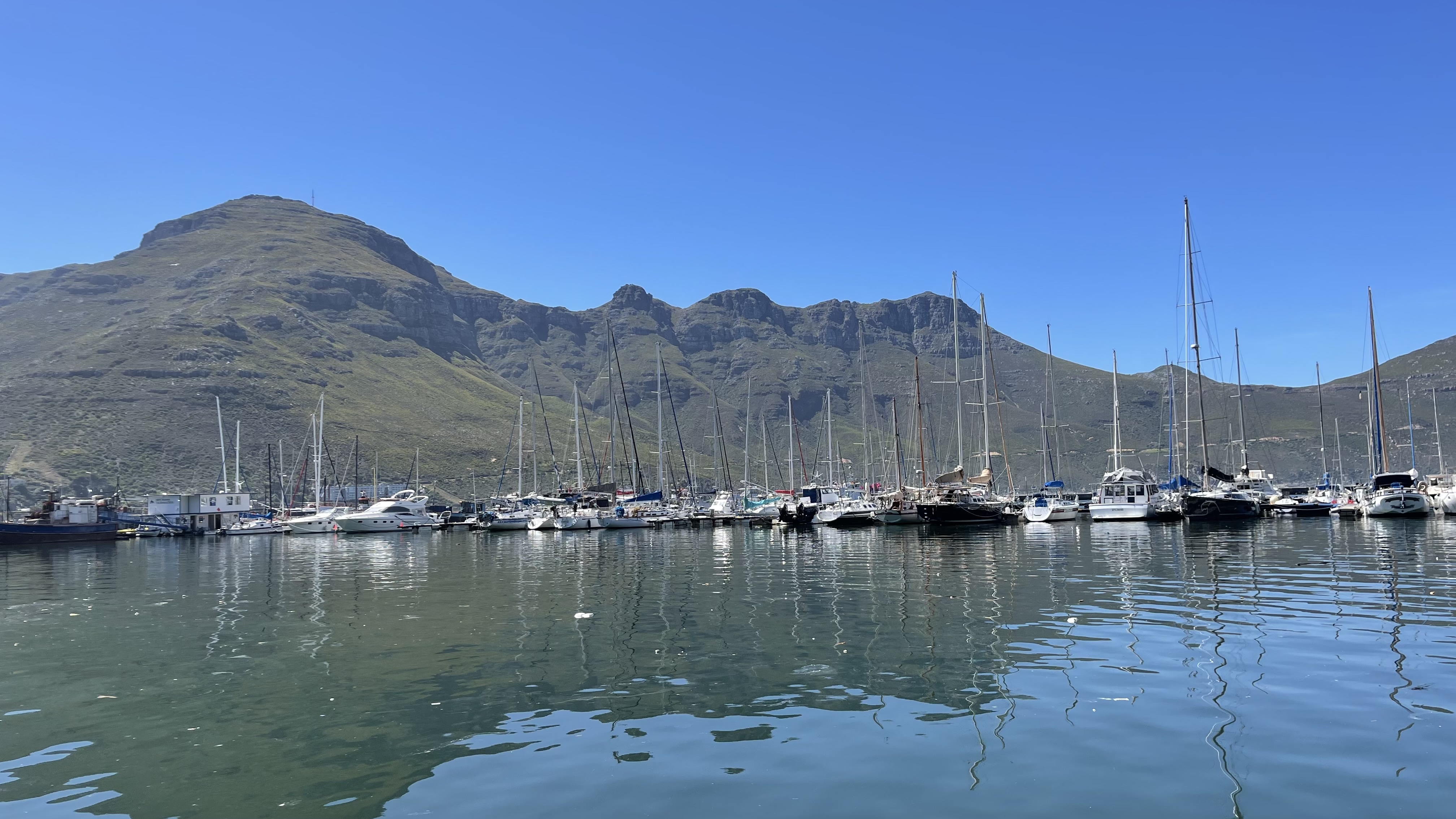 Cape360tours