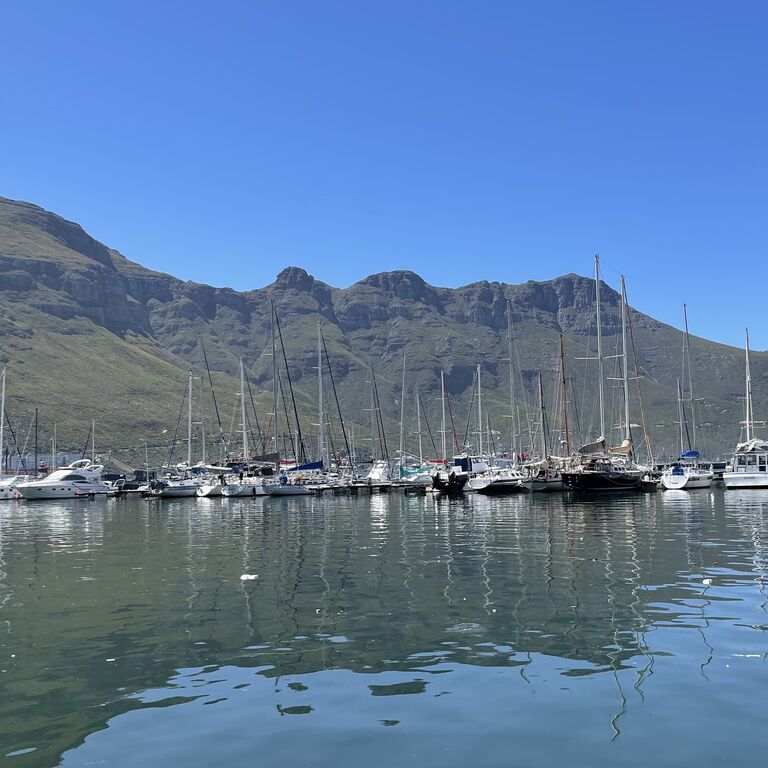 Cape360tours