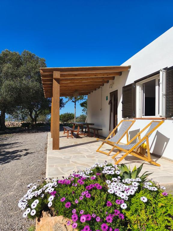 Sa Vinya Casa de Campo