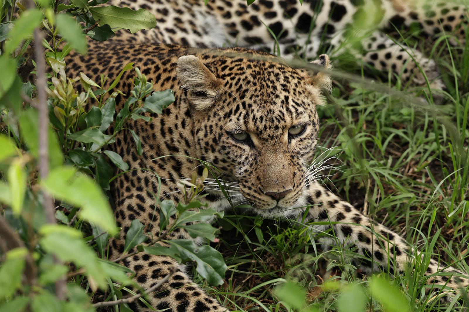 Avanza Adventures Travel