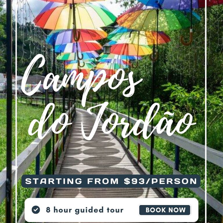 Experience Nexus Tours