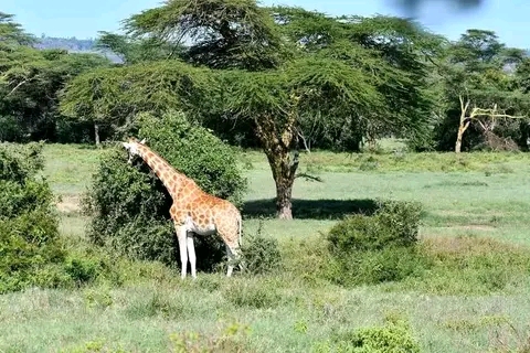 Rwanda Tourism Tours And Trave