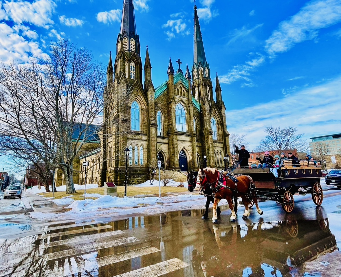 Emerald Isle carriage tours