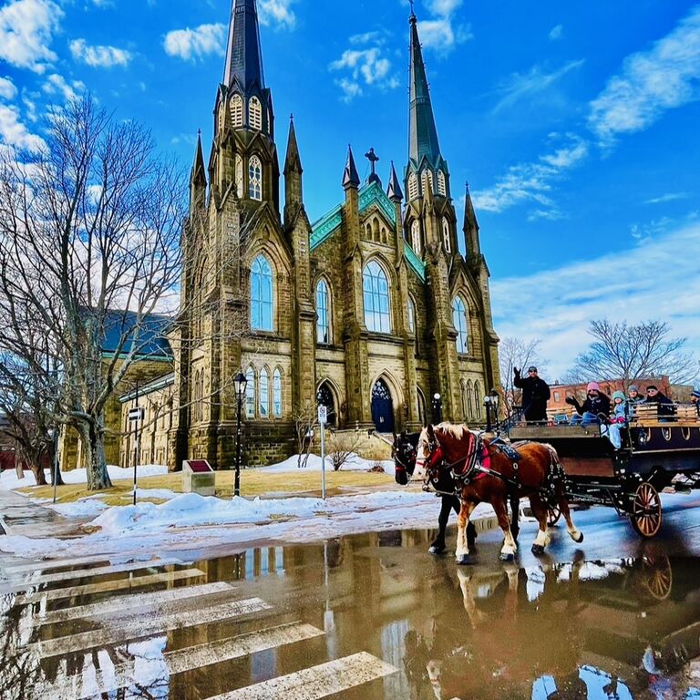 Emerald Isle carriage tours