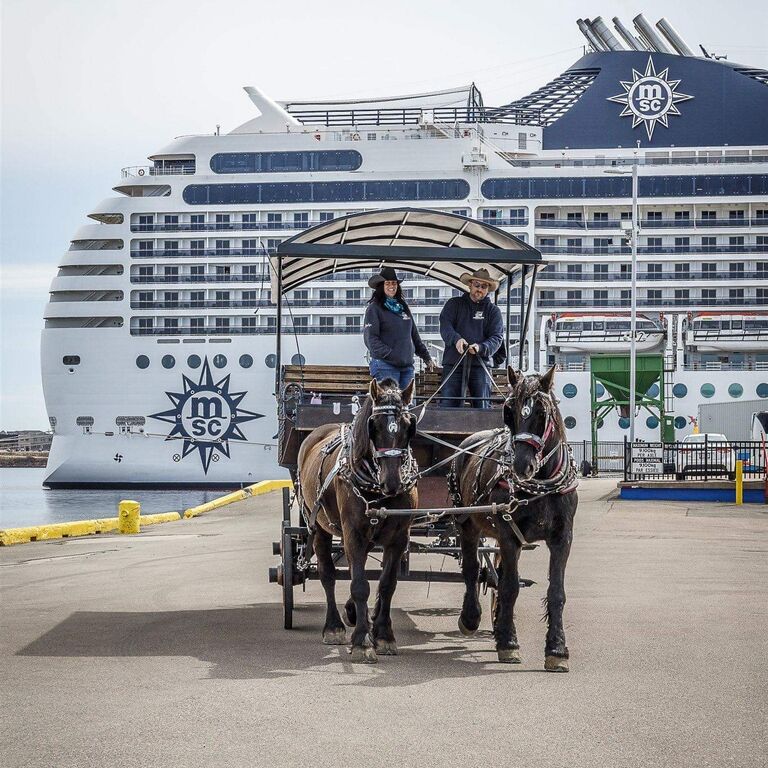 Emerald Isle carriage tours