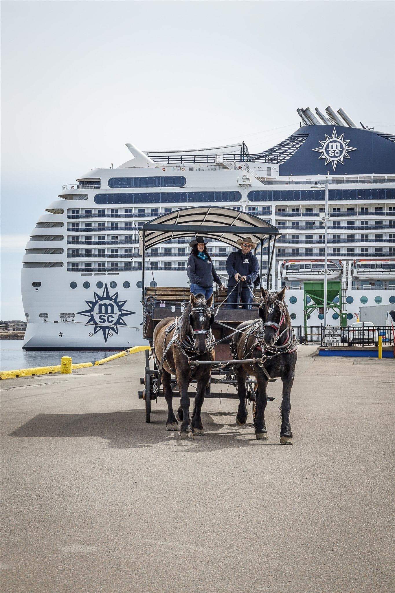 Emerald Isle carriage tours