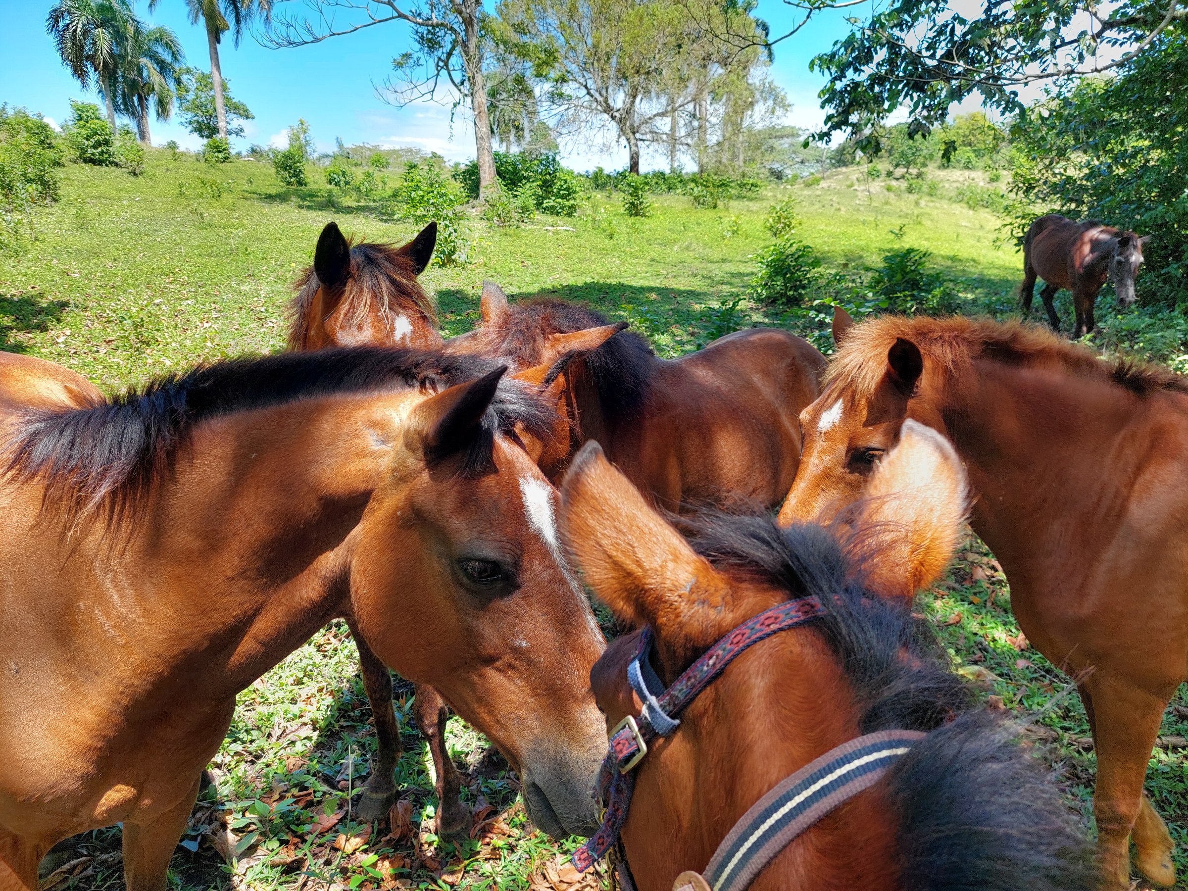 Rancho el Contento