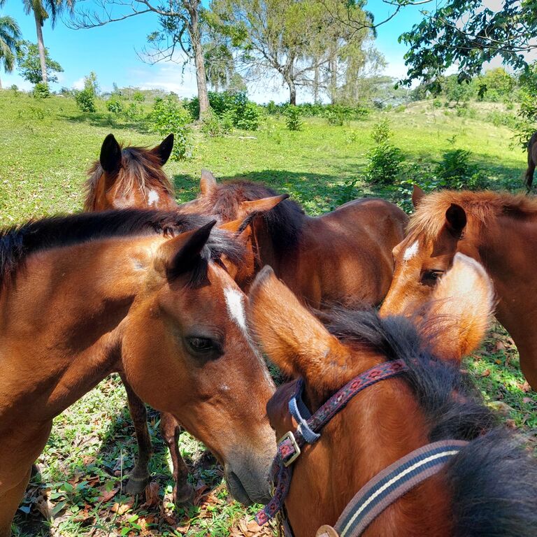 Rancho el Contento