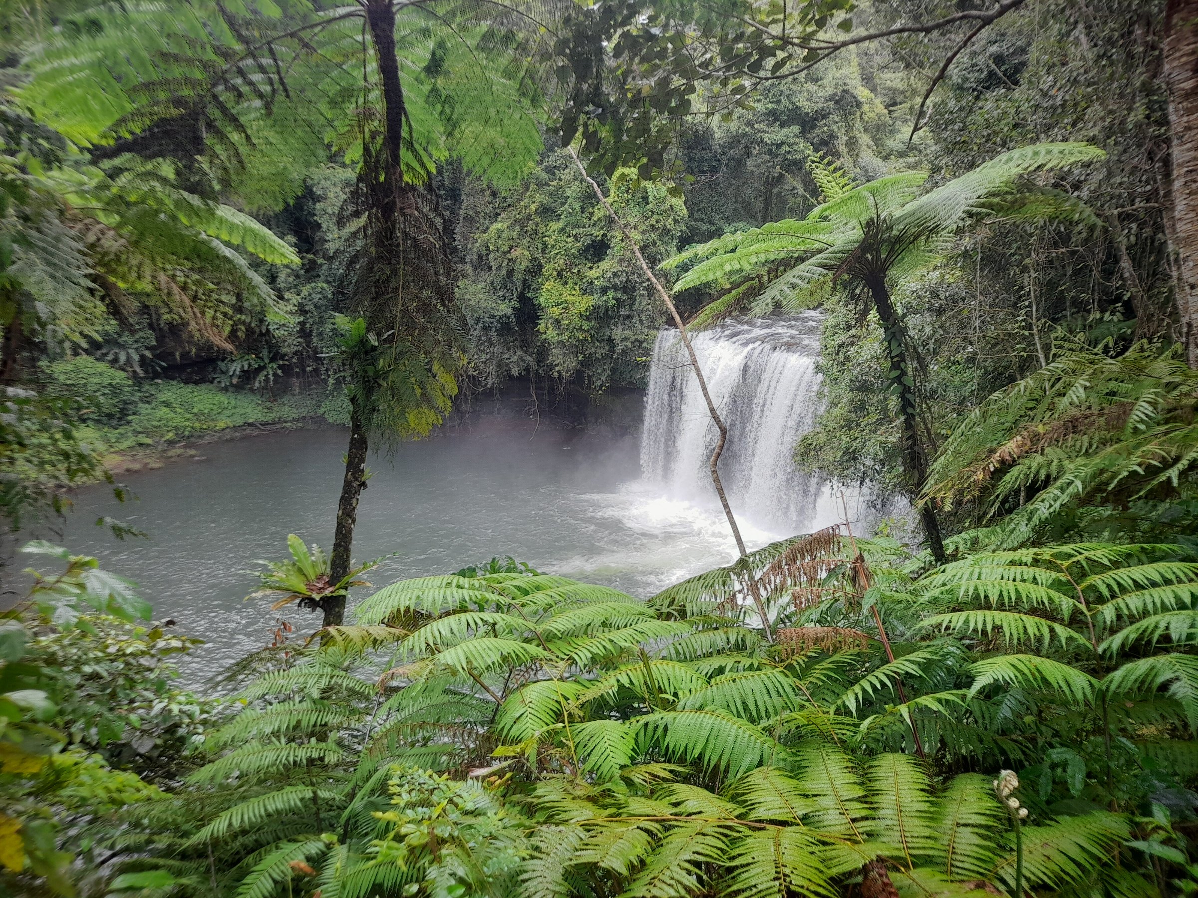 Coffee Tour & 3 Waterfalls