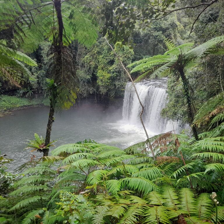 Coffee Tour & 3 Waterfalls