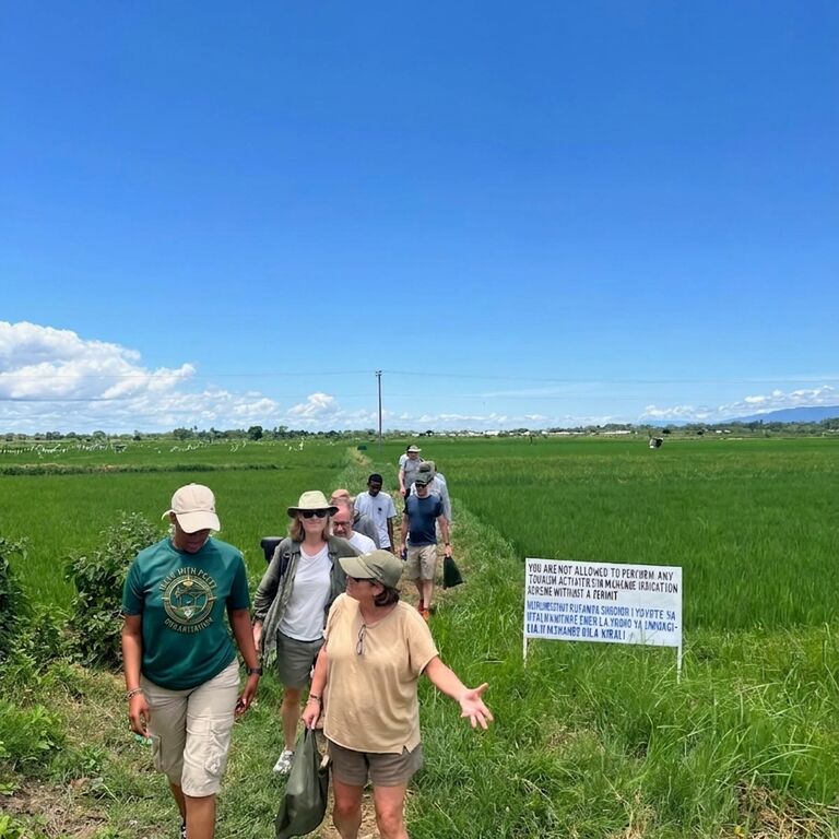 Walk With Petty Organization