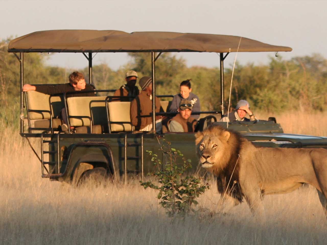 Swahili Paradise Tours