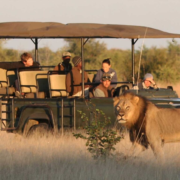 Swahili Paradise Tours