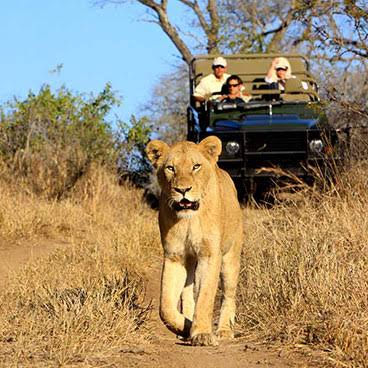 Swahili Paradise Tours
