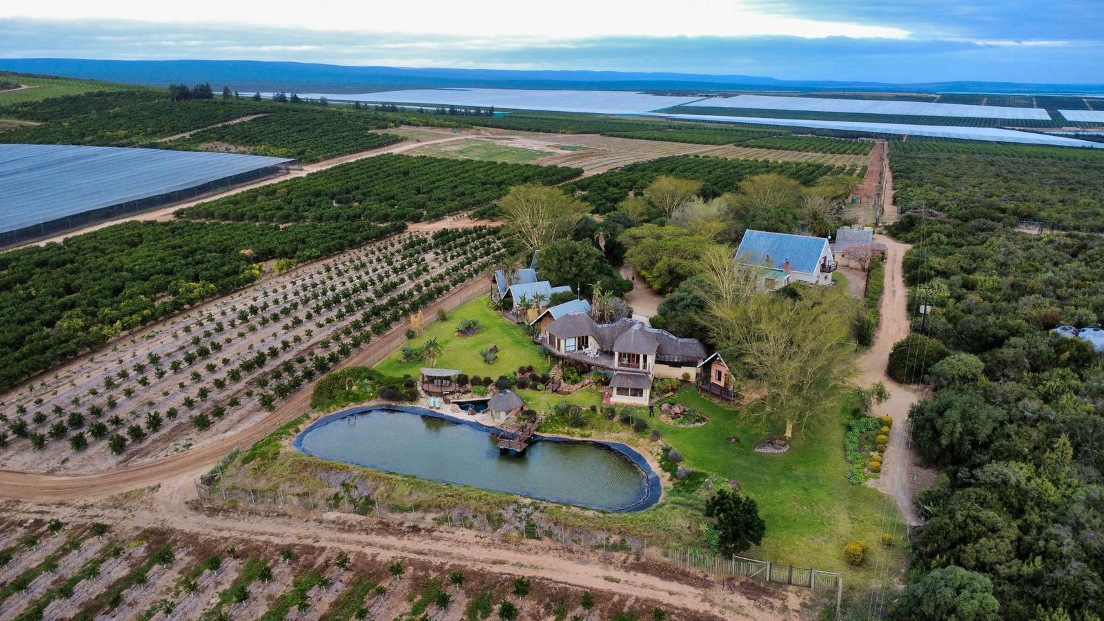 Addo Dung Beetle Guest farm