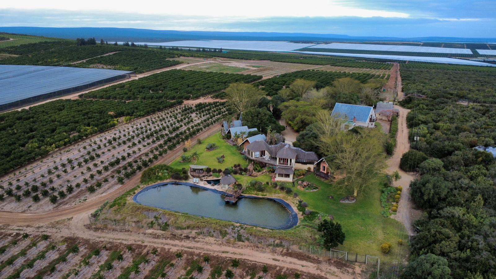 Addo Dung Beetle Guest farm