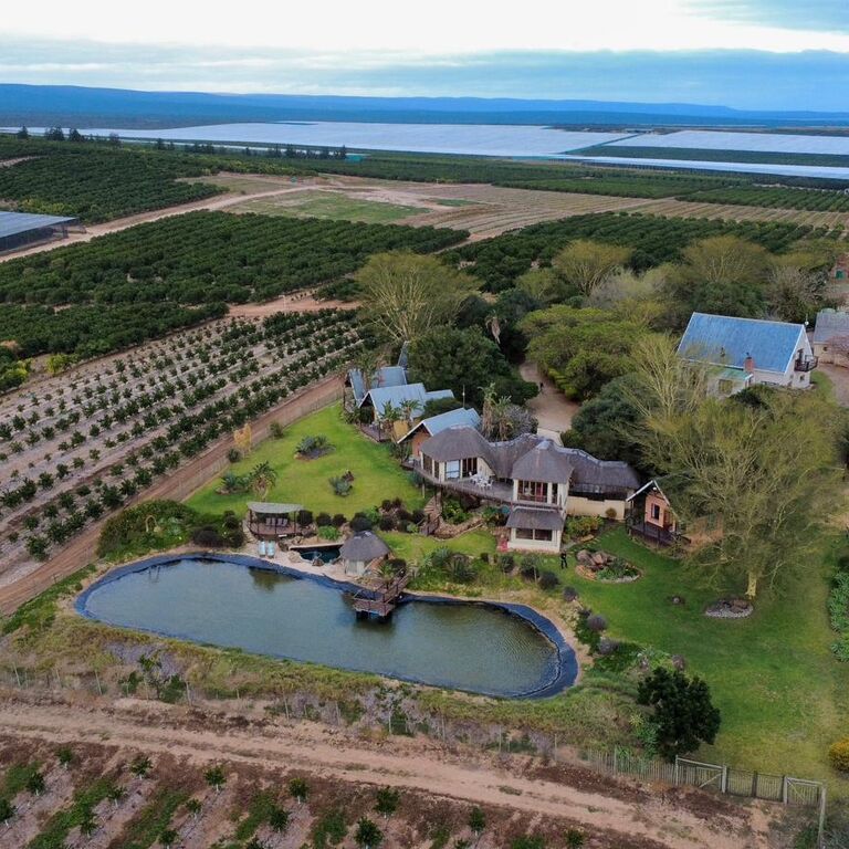 Addo Dung Beetle Guest farm