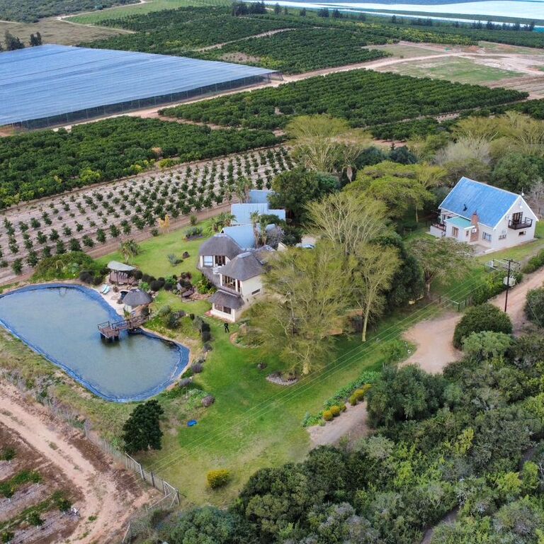 Addo Dung Beetle Guest farm