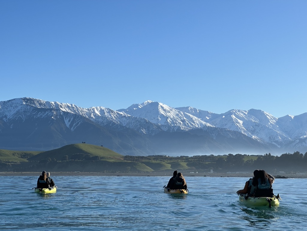 Seal Kayak Kaikoura