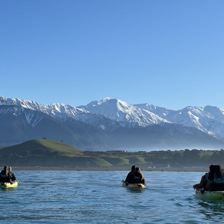Seal Kayak Kaikoura