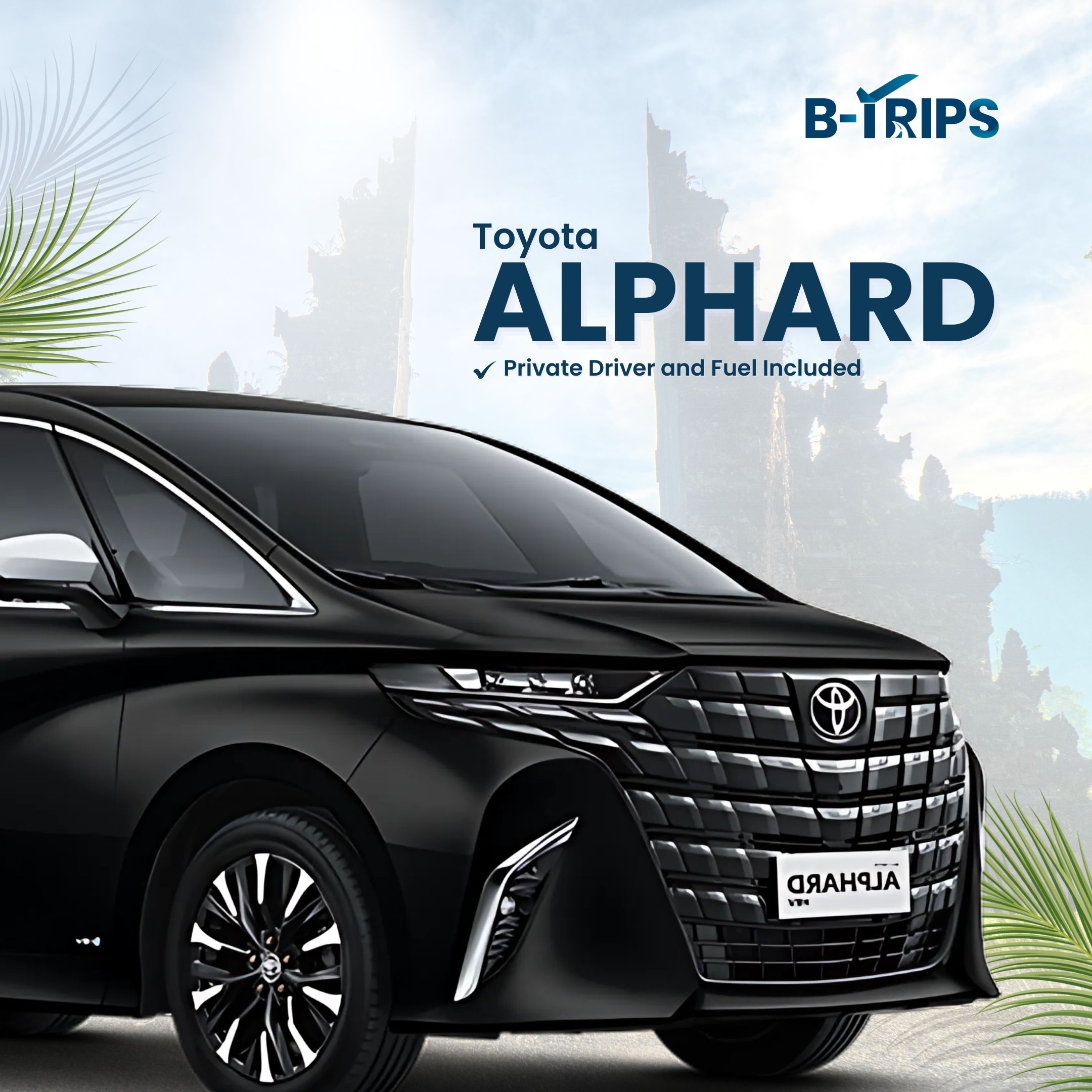 B-TRIPS