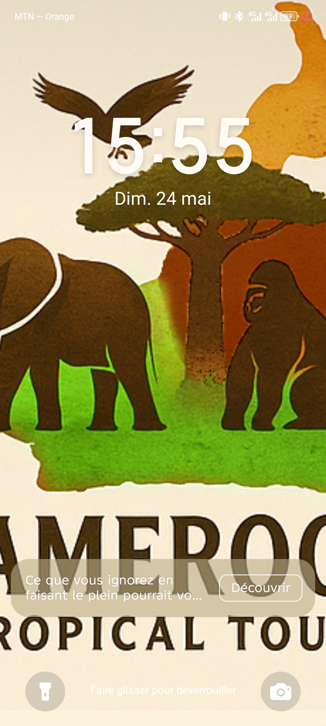 Cameroon Tropical Tours