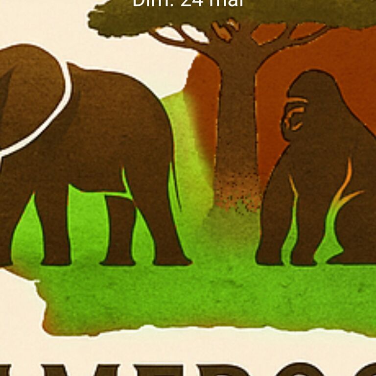 Cameroon Tropical Tours