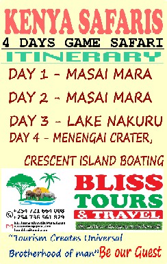 Bliss Tours and Travel Agencie