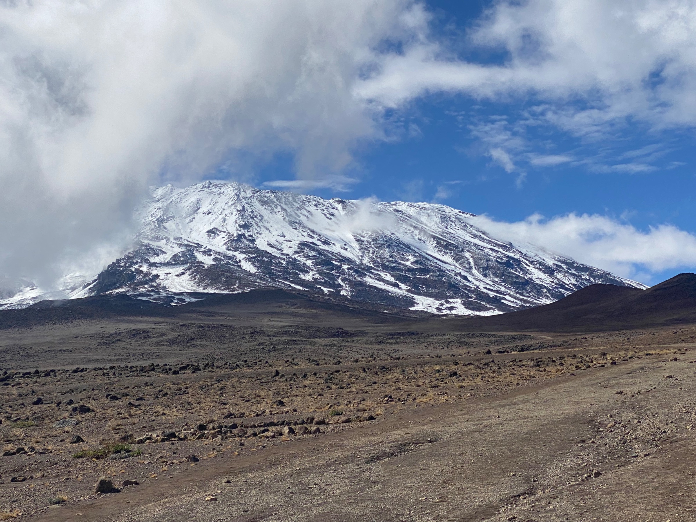 Adrian Kilimanjaro