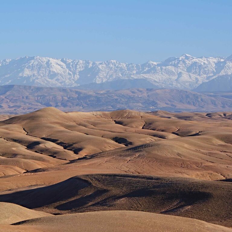 TodiscoverMarrakech