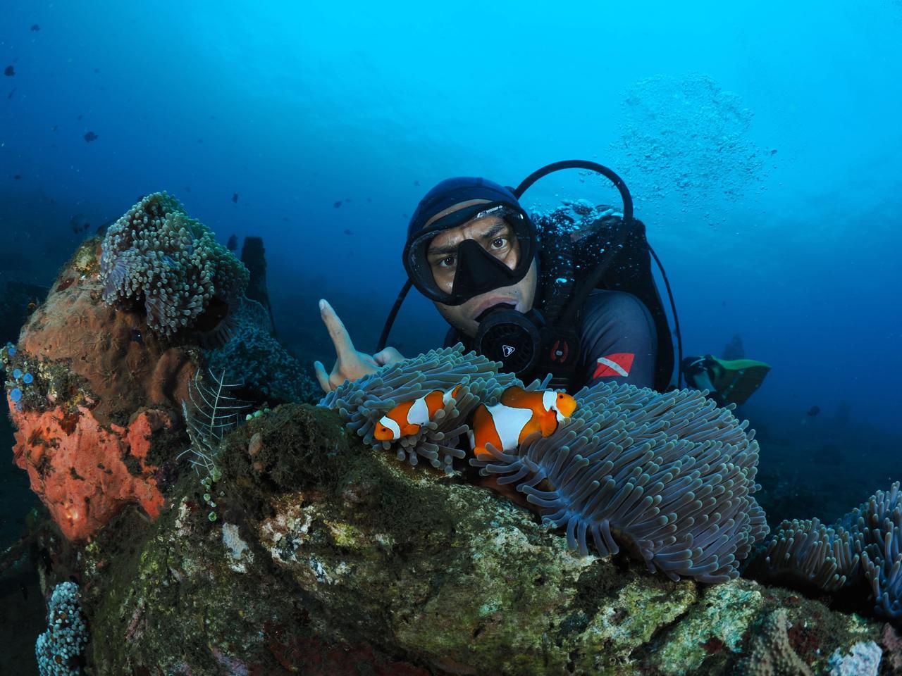 Bali holiday tour and travels