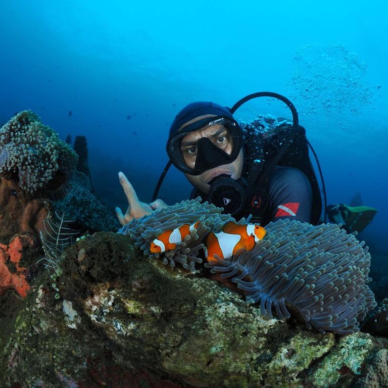 Bali holiday tour and travels