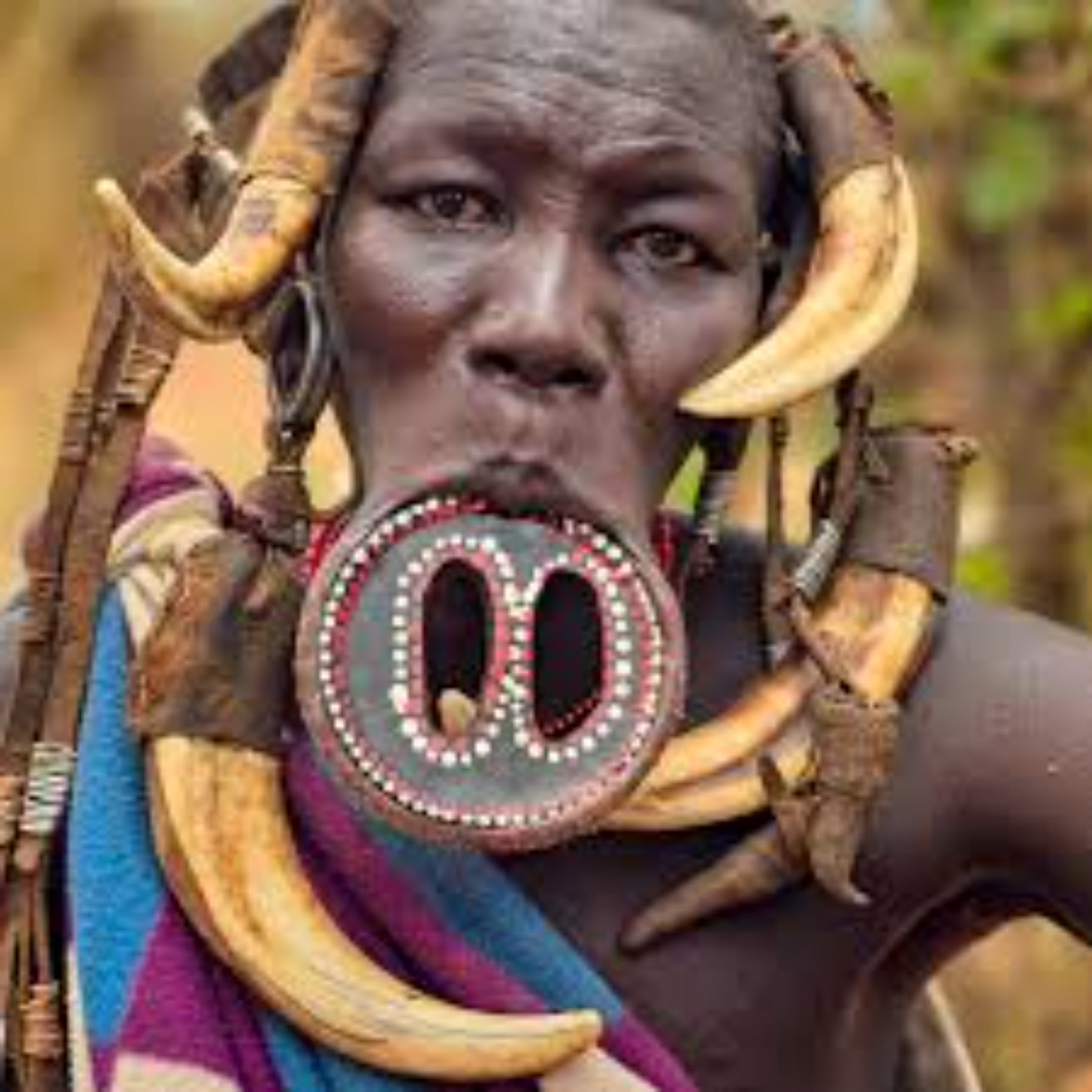 Kingdom Ethiopia Tours