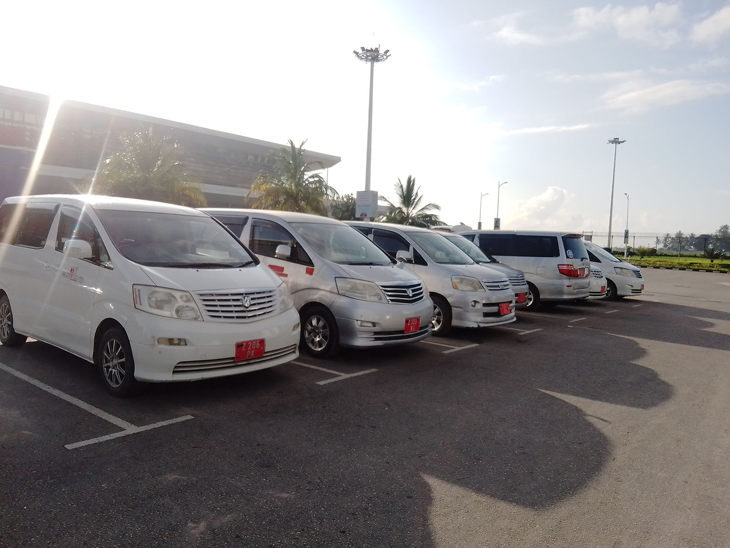 Go-go Almas Travel