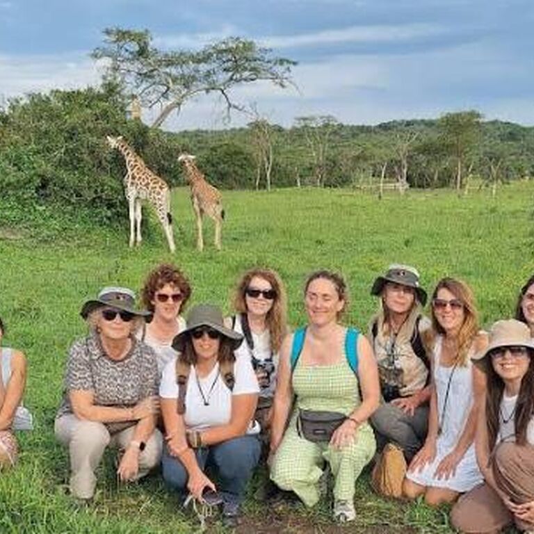 Wander bird travel agency