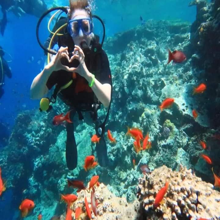 Fourseasons travel